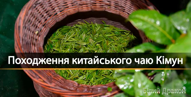 Походження китайського чаю Кімун